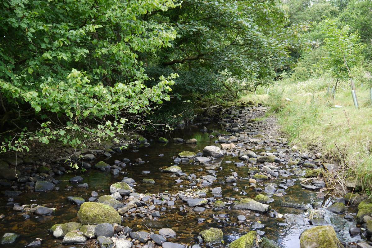 Abbeystead Water (Damas Gill) Main Photo