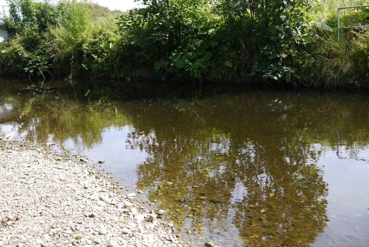 Lower River Brock Main Photo
