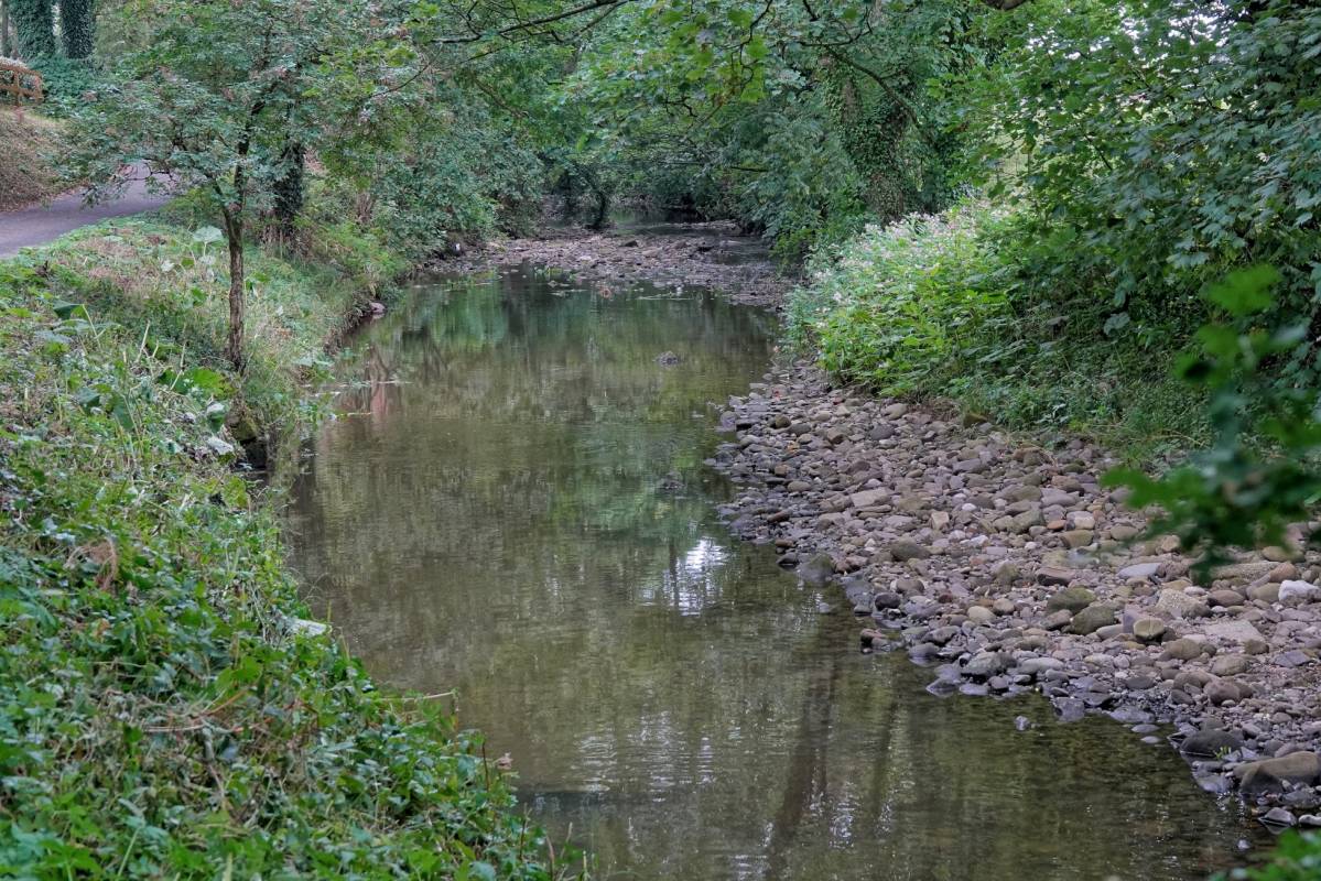 Upper River Brock Main Photo