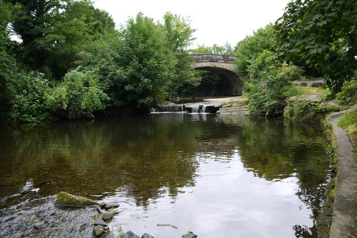 Upper River Brock Main Photo