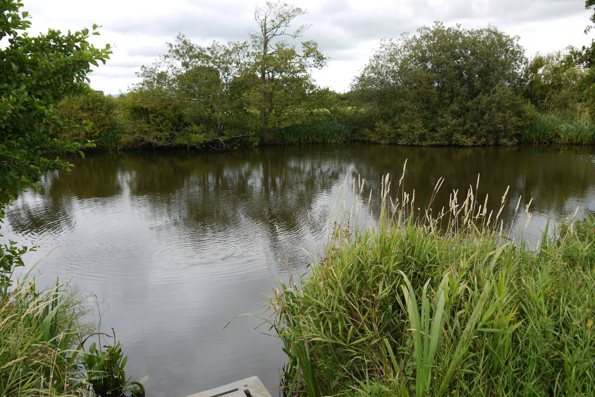 Whittaker’s Pond Main Photo